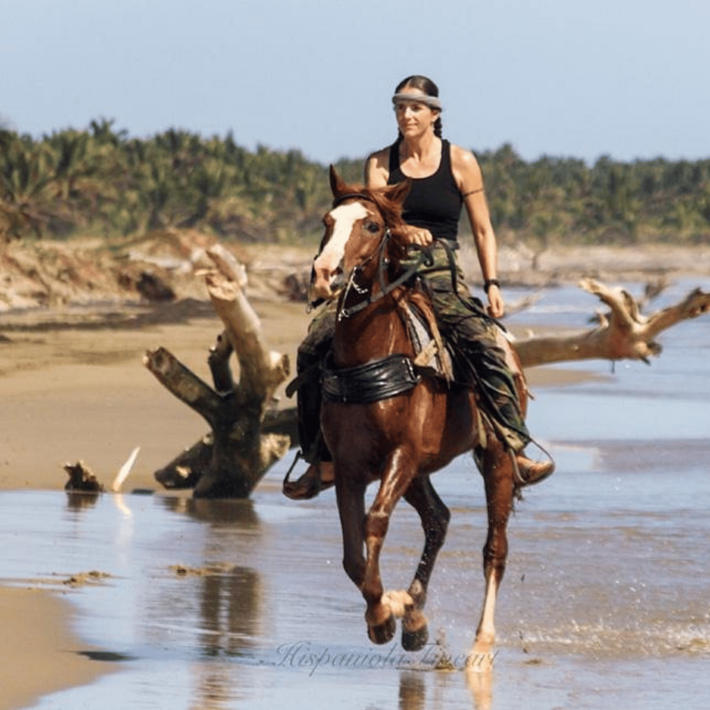 Horse Riding Kite Beach Rentals